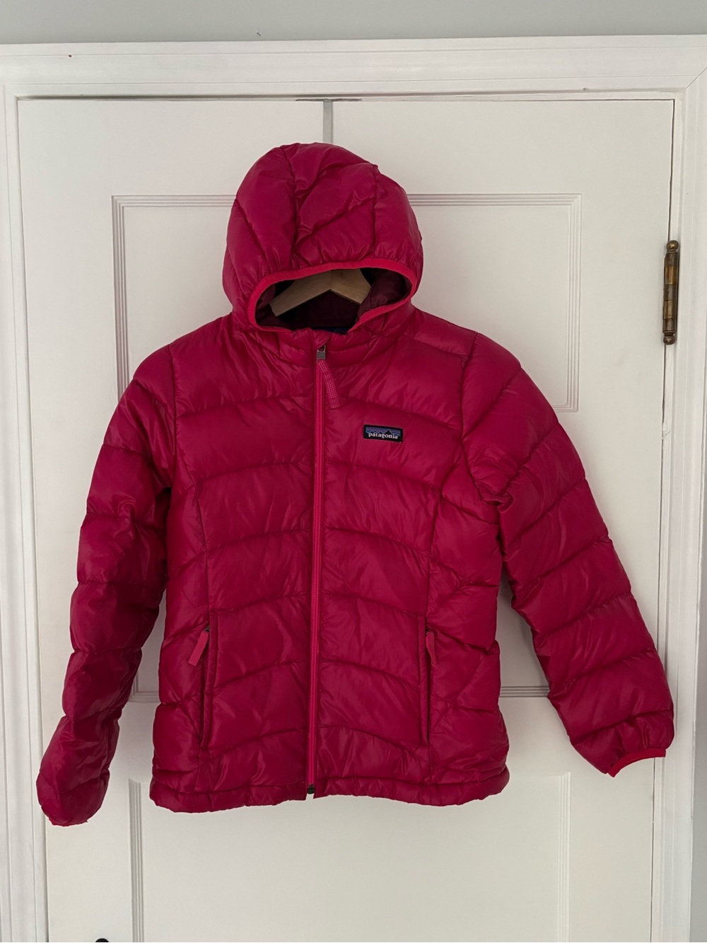 Patagonia Girls' Hi-Loft Down Sweater Hoody M(10)